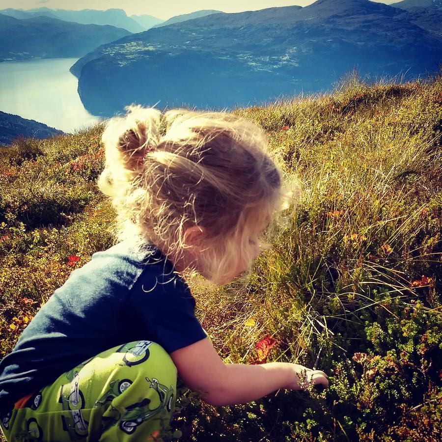 Oldevatn Camping Olden Kültér fotó